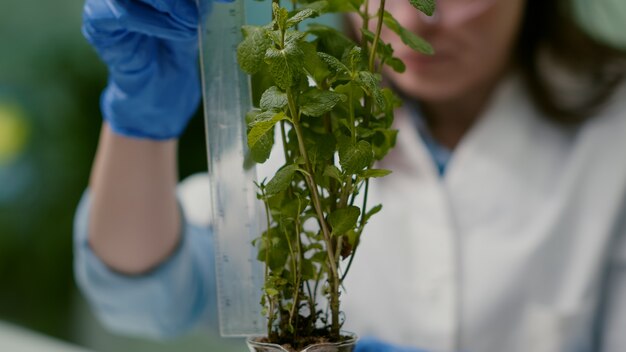 Naturalne metody wspierania zdrowia roślin i zwierząt w nowoczesnym rolnictwie